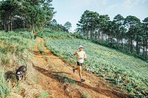 BIB: 
                            <button type="button" onclick="openModal(25654311)" class="btn btn-primary btn-sm float-right btn-popup" data-toggle="modal" data-target=".modal-high-quality">
                        <i class="fas fa-shopping-cart"></i> Add to Cart
                    </button>
                                            <button type="button" onclick="isThisMe(25654311, true)" class="btn btn-success btn-sm float-right btn-popup btn-isme hidden" data-toggle="tooltip" data-placement="bottom" title="นี่คือรูปของคุณใช่ไหม คลิกที่นี่เพื่อเอาเข้าอัลบั้ม">
                        <i class="fas fa-plus"></i> Add to album
                    </button>
                    <button type="button" onclick="isThisMe(25654311, false)" class="btn btn-warning btn-sm float-right btn-popup btn-isnotme hidden">
                        <i class="fas fa-ban"></i> Remove from album
                    </button>